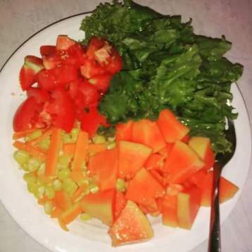 Contoh salad : pepaya mengkal, jagung kukus pipil, tomat, daun selada, tambahkan minyak zaitun atau canola oil. (foto: dokumen pribadi)